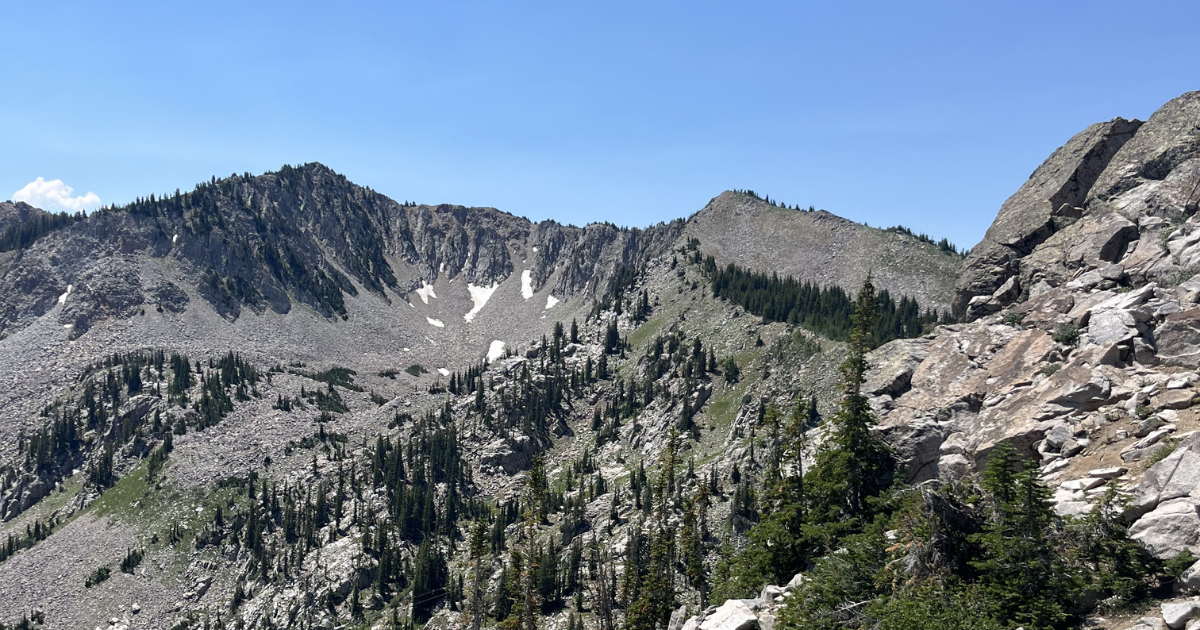 Summer Newsletter 2026